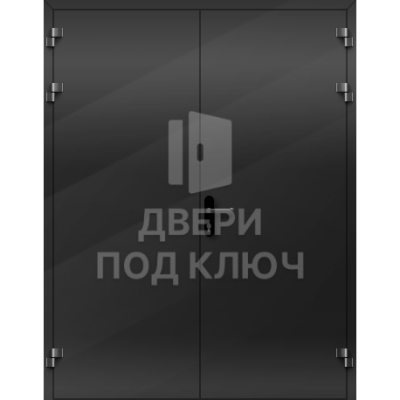 Противопожарная алюминиевая двупольная глухая дверь ДПК-16633
